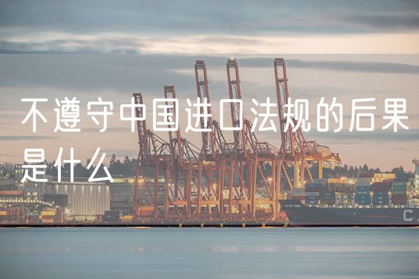 不遵守中国进口法规的后果是什么