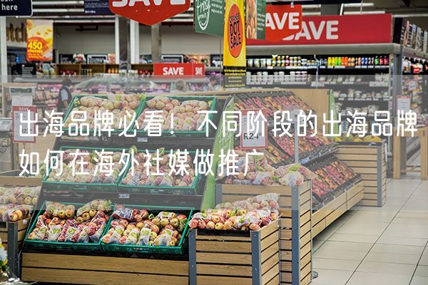 出海品牌必看！不同阶段的出海品牌如何在海外社媒做推广