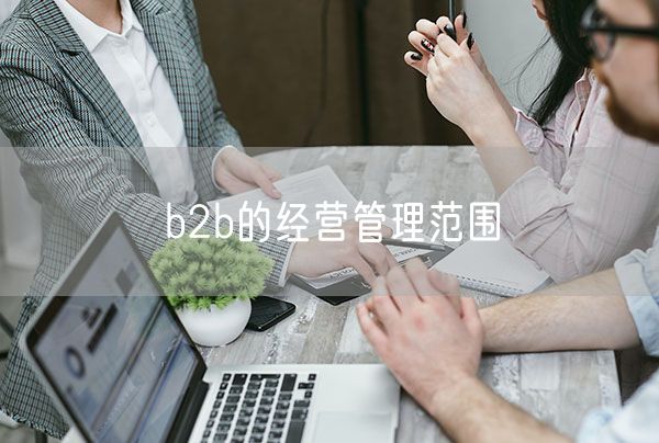 b2b的经营管理范围