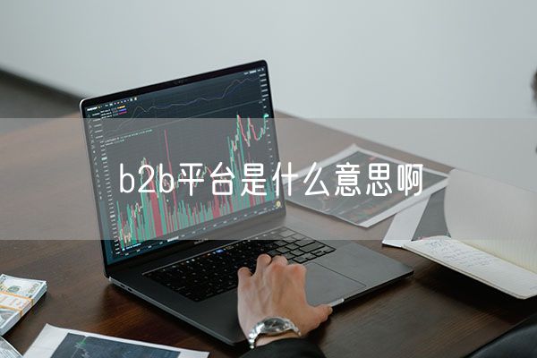b2b平台是什么意思啊