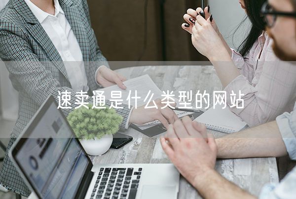 速卖通是什么类型的网站