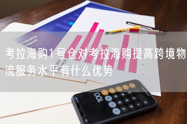 考拉海购1号仓对考拉海购提高跨境物流服务水平有什么优势
