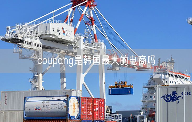coupang是韩国最大的电商吗