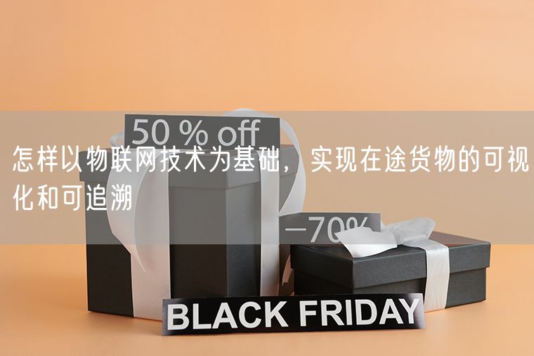 怎样以物联网技术为基础，实现在途货物的可视化和可追溯