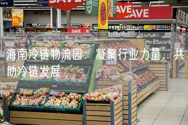 海南冷链物流园：凝聚行业力量，共助冷链发展