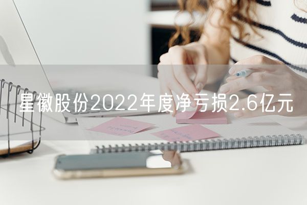 星徽股份2022年度净亏损2.6亿元