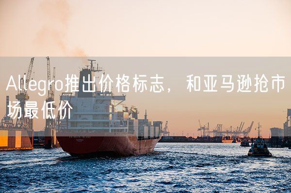 Allegro推出价格标志，和亚马逊抢市场最低价