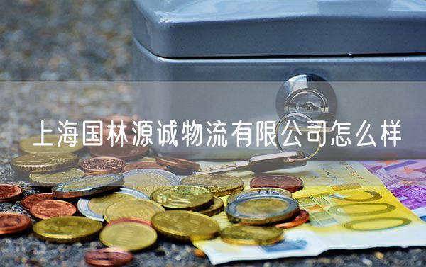上海国林源诚物流有限公司怎么样