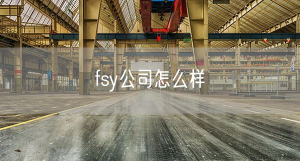 fsy公司怎么样