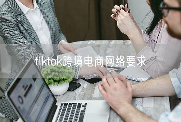 tiktok跨境电商网络要求