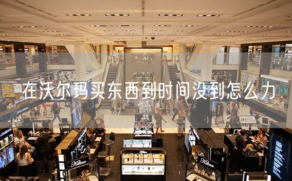 在沃尔玛买东西到时间没到怎么力