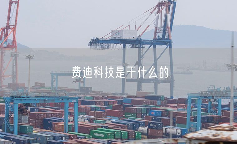 费迪科技是干什么的