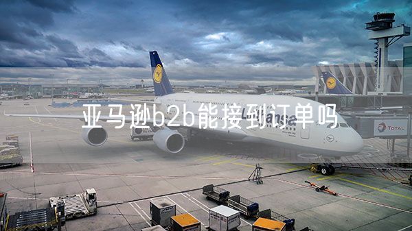 亚马逊b2b能接到订单吗