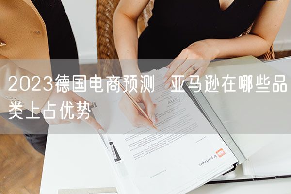 2023德国电商预测  亚马逊在哪些品类上占优势
