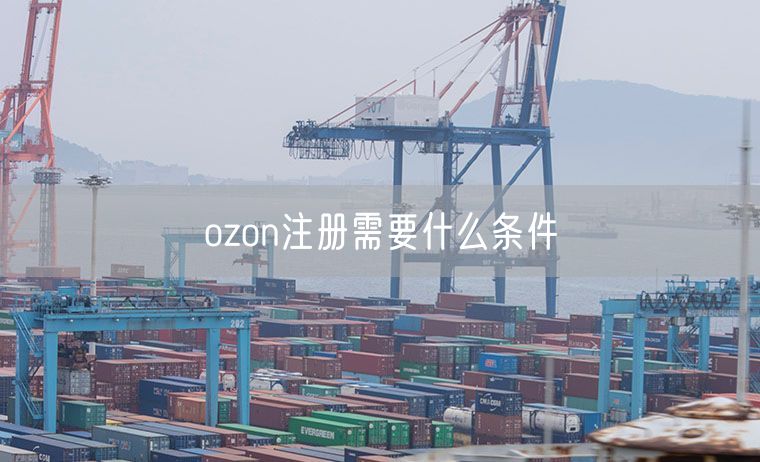 ozon注册需要什么条件