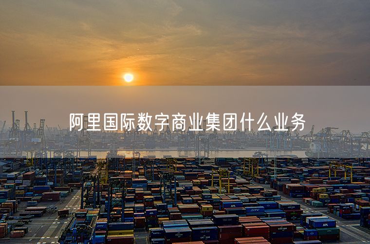 阿里国际数字商业集团什么业务