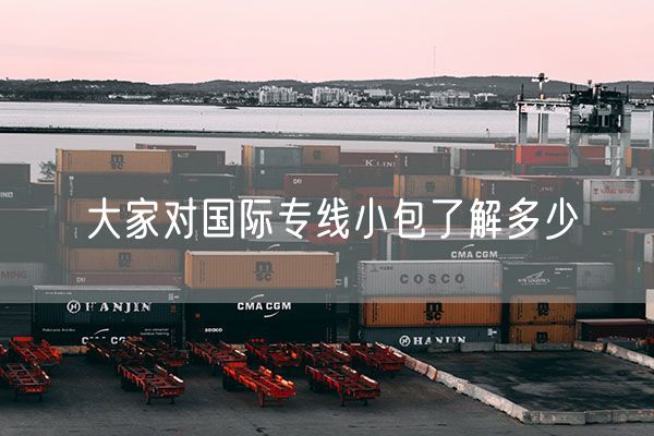 大家对国际专线小包了解多少