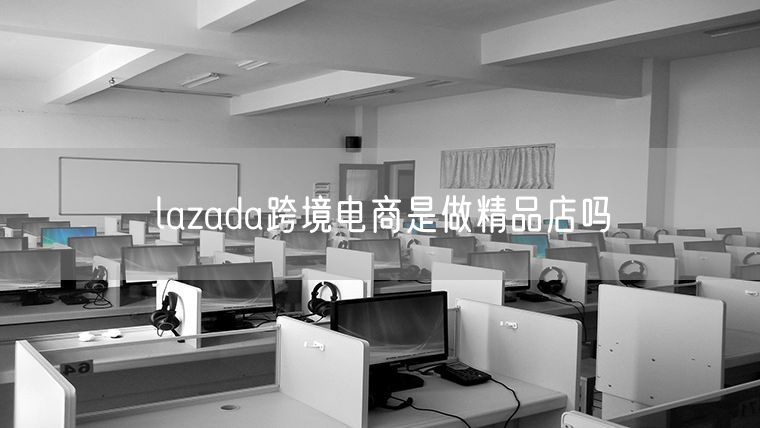 lazada跨境电商是做精品店吗
