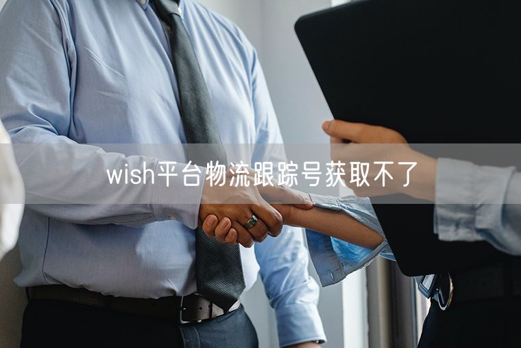 wish平台物流跟踪号获取不了