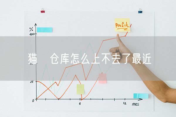 猫の仓库怎么上不去了最近
