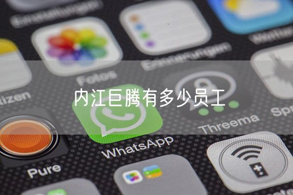 内江巨腾有多少员工