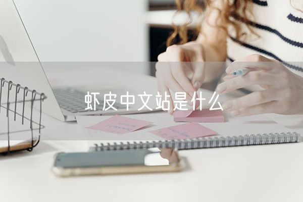 虾皮中文站是什么