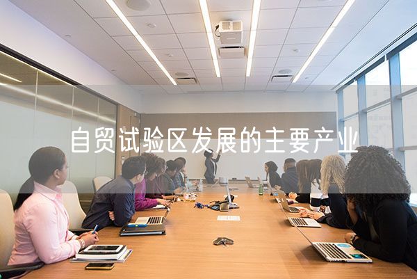 自贸试验区发展的主要产业