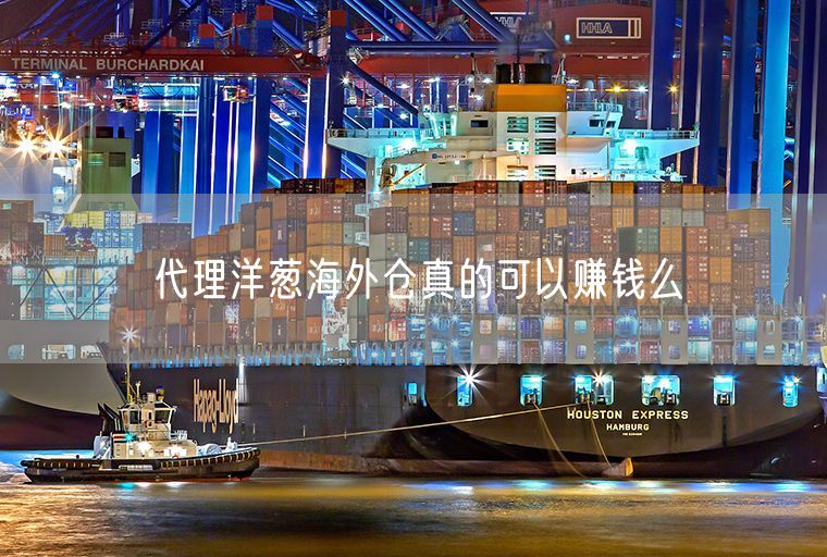 代理洋葱海外仓真的可以赚钱么
