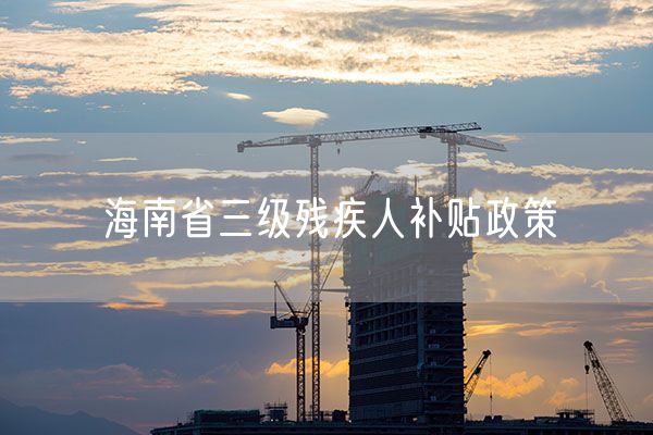 海南省三级残疾人补贴政策