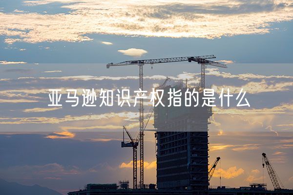 亚马逊知识产权指的是什么