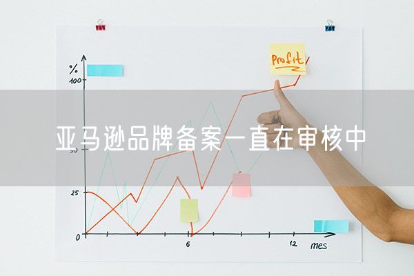 亚马逊品牌备案一直在审核中