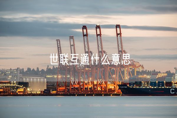 世联互通什么意思