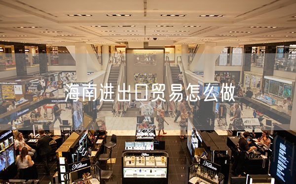海南进出口贸易怎么做
