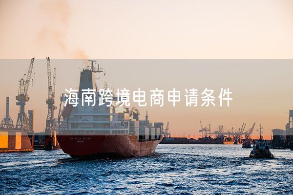 海南跨境电商申请条件