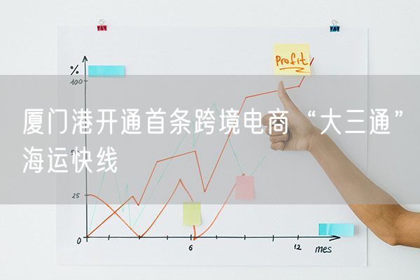 厦门港开通首条跨境电商“大三通”海运快线