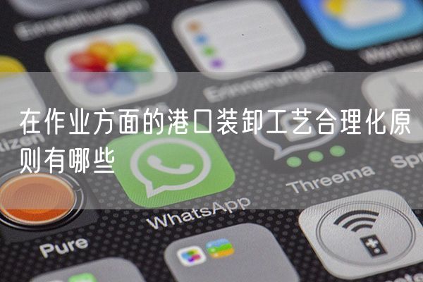 在作业方面的港口装卸工艺合理化原则有哪些