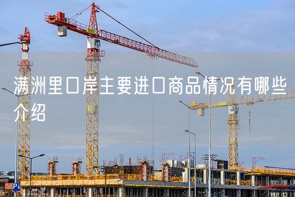 满洲里口岸主要进口商品情况有哪些介绍