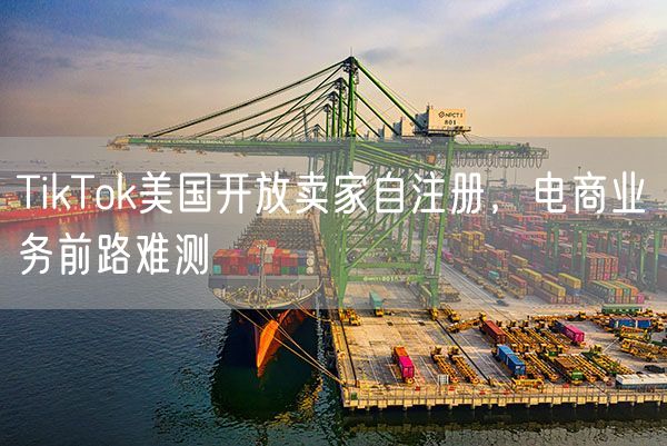 TikTok美国开放卖家自注册，电商业务前路难测