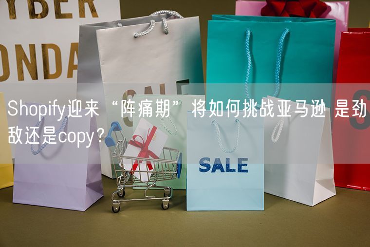 Shopify迎来“阵痛期”将如何挑战亚马逊 是劲敌还是copy？