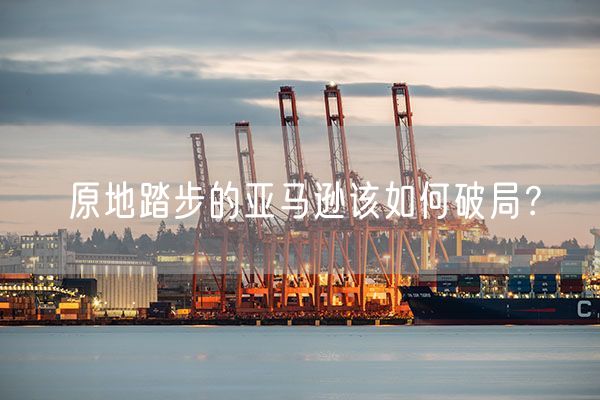 原地踏步的亚马逊该如何破局？