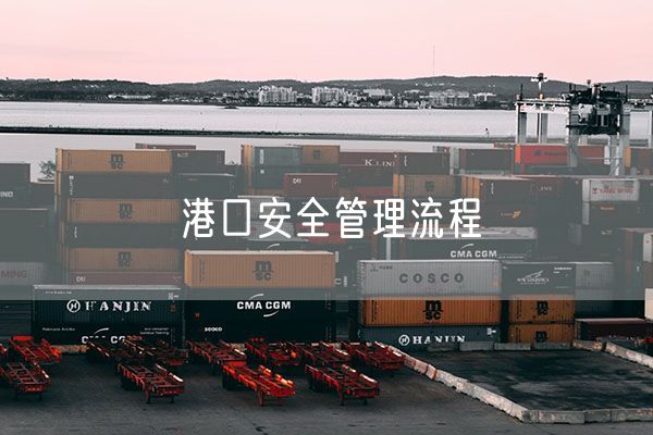 港口安全管理流程