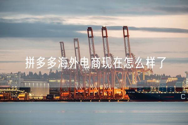 拼多多海外电商现在怎么样了