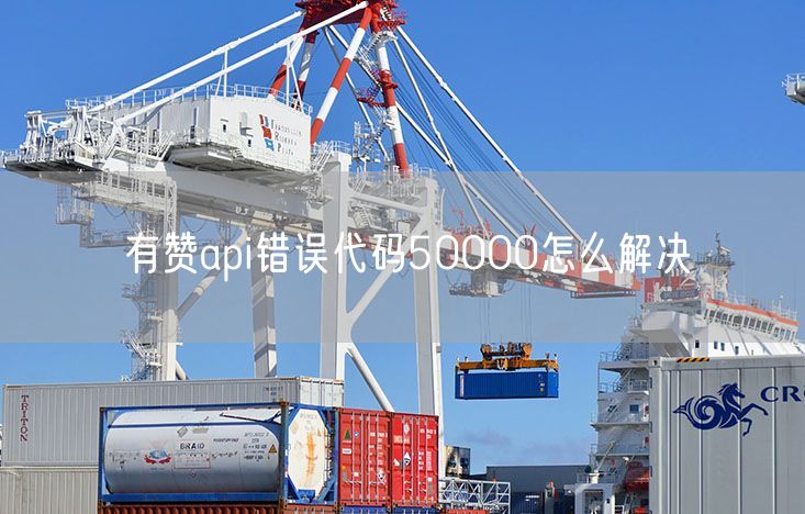 有赞api错误代码50000怎么解决