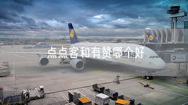点点客和有赞哪个好
