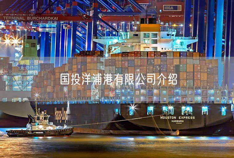 国投洋浦港有限公司介绍