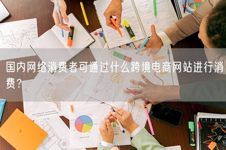 国内网络消费者可通过什么跨境电商网站进行消费？