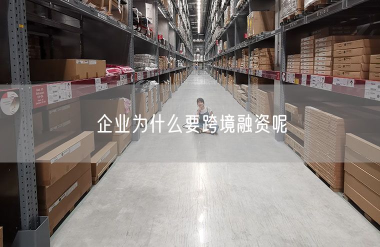 企业为什么要跨境融资呢