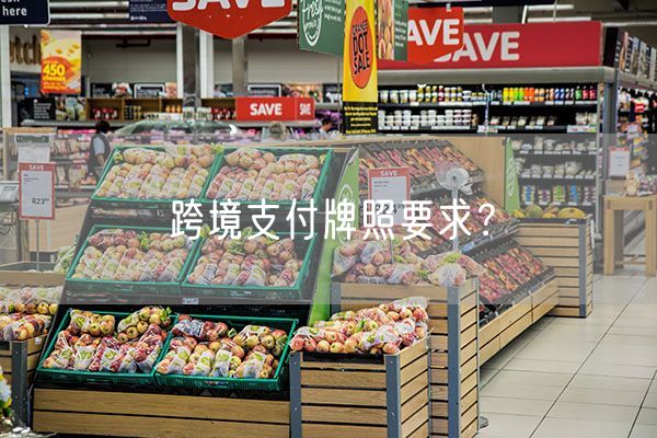 跨境支付牌照要求？