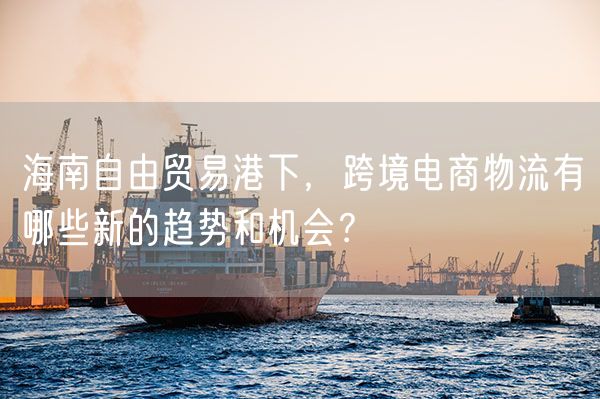 海南自由贸易港下，跨境电商物流有哪些新的趋势和机会？