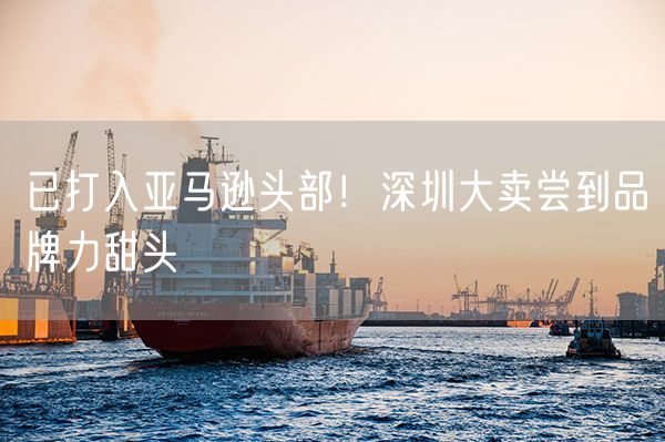 已打入亚马逊头部！深圳大卖尝到品牌力甜头